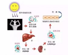 母乳宝宝维生素D该怎么补？现在揭晓